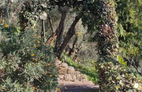 Villino Isabella - Foto 13