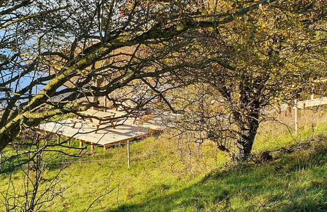 8 Person Holiday Home in Skals-by Traum - Foto 25