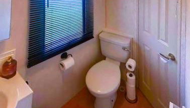 The Wee Sprout - Photo 2