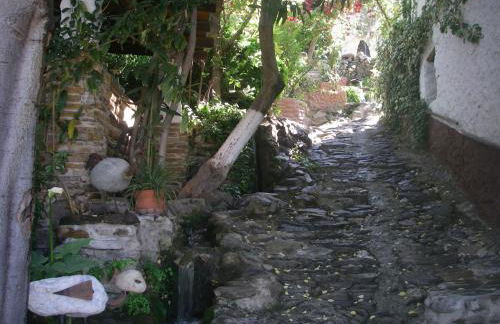 Alojamiento Rural El Brazal - Foto 16