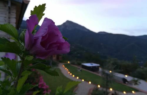 Agriturismo Al Pagan - Foto 29