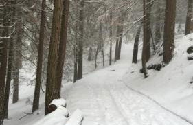Sequoia National Forest CabinG - Foto 8