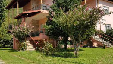 Hillside View Home - Photo 2