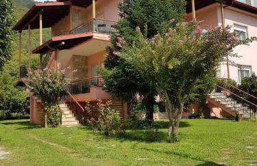 Hillside View Home - Photo 2