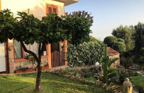 Il Vicolo Palinuro - Photo 14