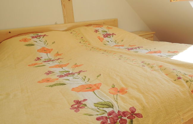 Vineyard cottage Janko in Metka - Foto 3