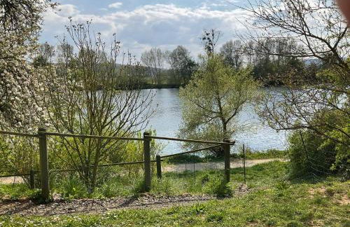 Moselglück - Foto 14