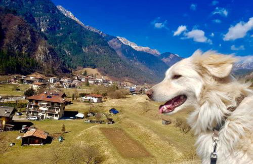 Residenza al Castello - Foto 50