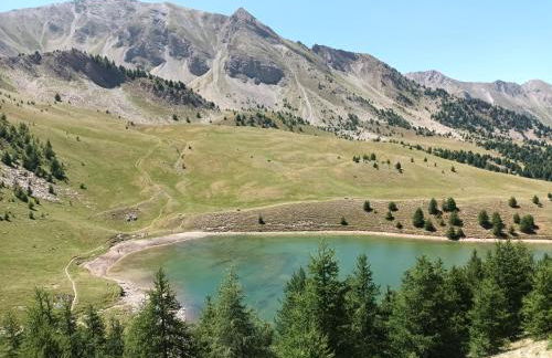 Ski et Détente Les Orres 1650 Animaux OK - Photo 58