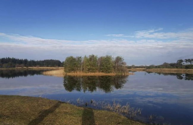 The Lodge - Rural Tipperary Bordering Kilkenny - Photo 16