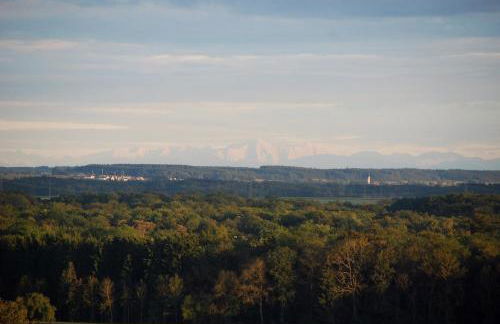 Ulmer Münster Blick - Foto 2