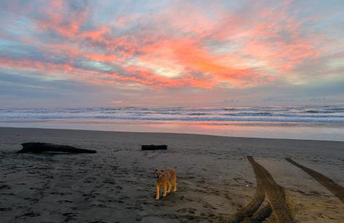 The Surf Shack - Foto 10