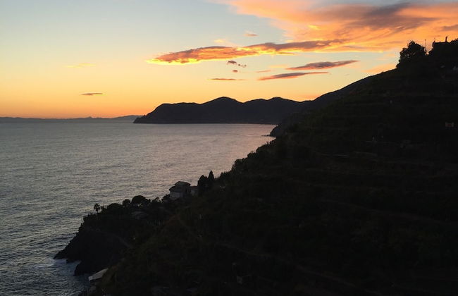 Arpaiu - Odeyo Sas - Foto 27