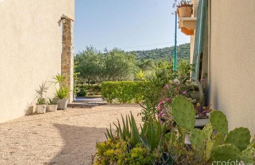 Grandfather's House - Photo 49