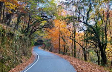 Hotel AV Apartamentos Lobios - Foto 60