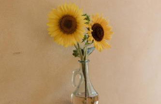 Agriturismo Qui Voglio - Foto 47