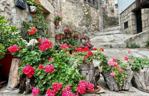 Luna de Gredos - Dormitorios con baño en suite - Foto 39