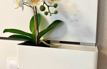 Casa Morena - Photo 19