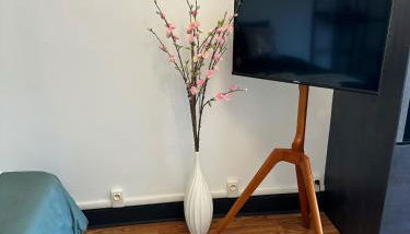 Studio cosy - Le cerisier - Foto 3