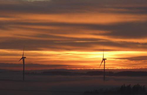 Ferien im Hunsrück - Foto 24