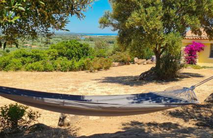 Country villa Sant' Elène - Appartamento Olivo - Foto 52