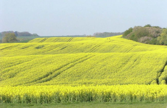 Einladende Ferienwohnung in Gerdshagen mit Garten - Foto 27