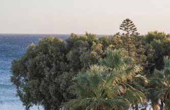 Azura creta - Foto 24