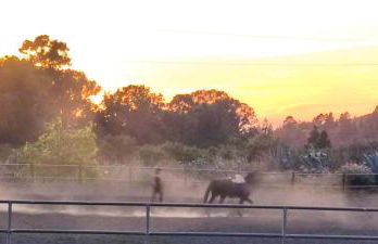Tocando el cielo - Foto 71