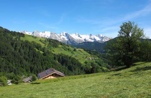 Le sommet du Chinaillon 6p - Foto 13