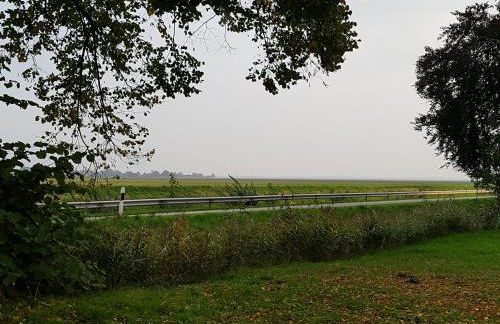 Johannes Hof - Foto 54