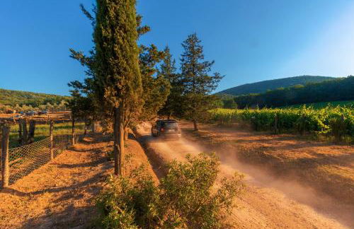 La Cerreta - Terme di Sassetta - Foto 25