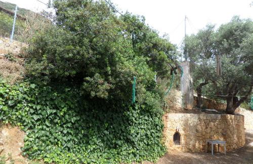 Endless Blue - Foto 36