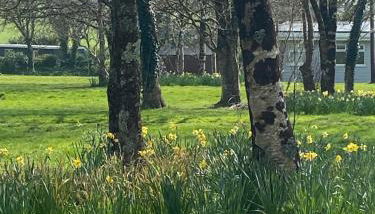 Dart Dream - Photo 3