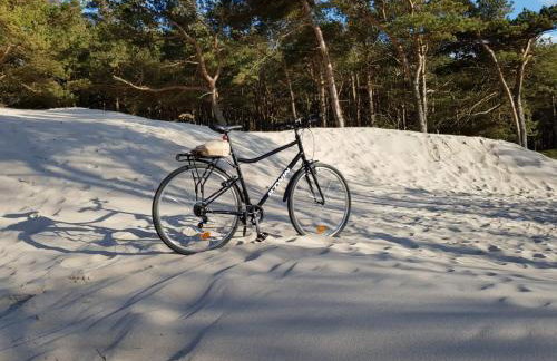 RAJSKA PLAZA Poddąbie Basen odkryty brodziki Basen kryty Plac zabaw Animacje - Foto 18