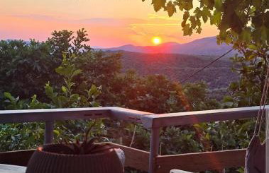 Zelis In Pelion Greece - Foto 48