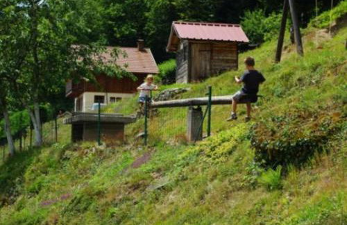 Gîte Confortable au Cœur des Vosges - Animaux Acceptés - FR-1-589-839 - Foto 15
