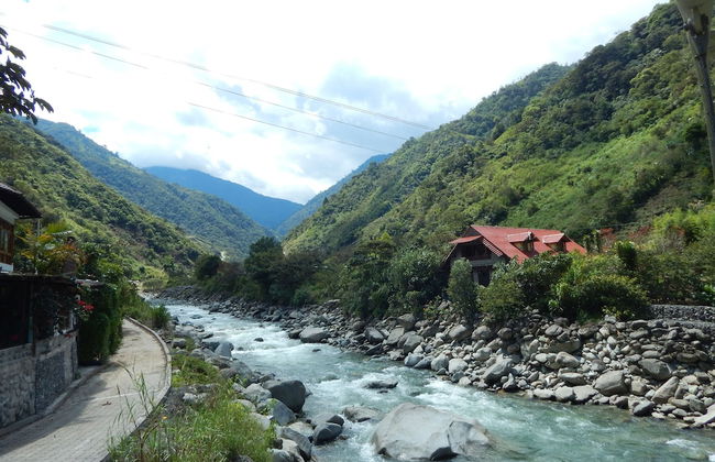 Dogs and Fish Dream Land - Foto 33