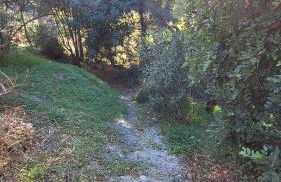 Finca el Agua da Vida (Los Eucaliptos & Los Olivos) - Foto 18