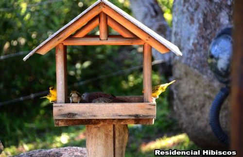 Residencial Hibiscos - Vista Mar - Foto 22