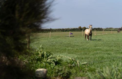 Naut Retreat, The Cart Lodge - Cosy cottage, walk to Porthcurno beach, Pedn Vouder & Minack Theatre - Photo 35