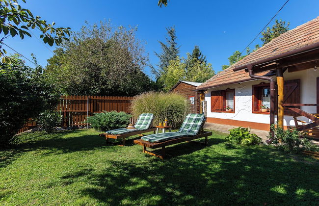 The Bird of Happiness-heaven for Dogs - Foto 35