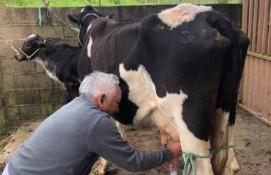 Nega Joana - Foto 16