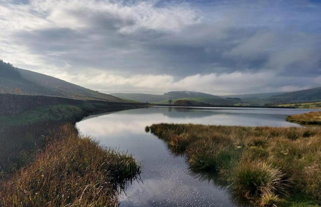 Lovely Studio in London With Patio - Foto 25
