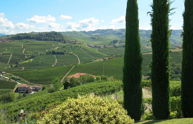 Baroncelli - Foto 30