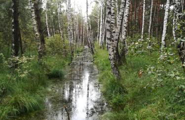 Ferienwohnung Fritzenwenger - Foto 45