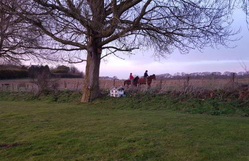 Crows Nest - Photo 9