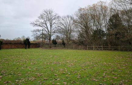 Bucking Lodge - Foto 17