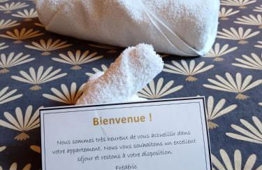 Nancy Vieille Ville Stanislas - Foto 73