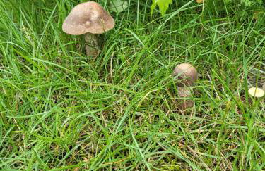 Morska Cisza - Foto 32