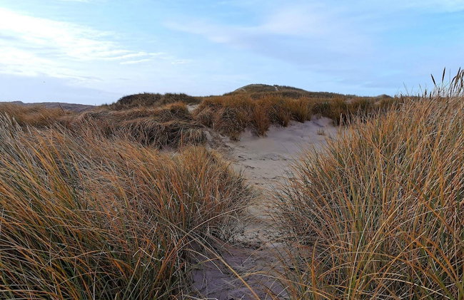 4 Star Holiday Home in Hemmet - Foto 4